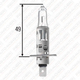 LAMPE H1 (12V 55W P14.5S10)