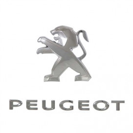 SIGLE PEUGEOT (SUR HAYON) 308 DEPUIS LE 06/13