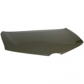 CAPOT AURIS 02/13 - 06/15