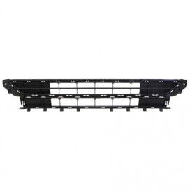 GRILLE PC AV POLO DEPUIS LE 09/17