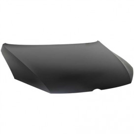 CAPOT PASSAT DEPUIS LE 11/10