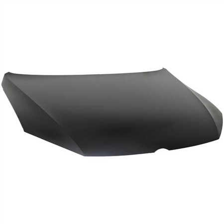 CAPOT PASSAT DEPUIS 11/10