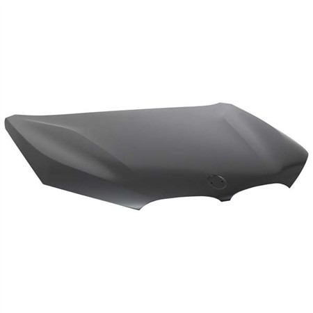 CAPOT BMW X1 F48 09/15+