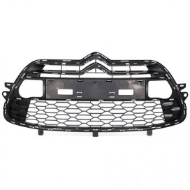 GRILLE PARE CHOCS AV (modele avec chrome so chic/sport chic ) DS3