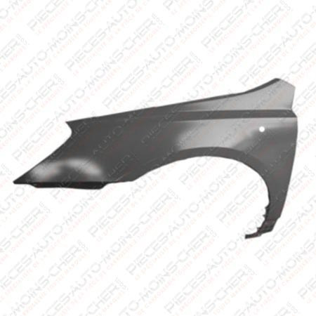 AILE AVANT GAUCHE+TROU CARNIVAL DEPUIS LE 08/06