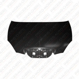 CAPOT YPSILON 12/06 - 05/11